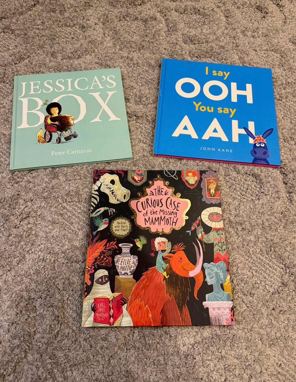16 - Usborne Picture Books
