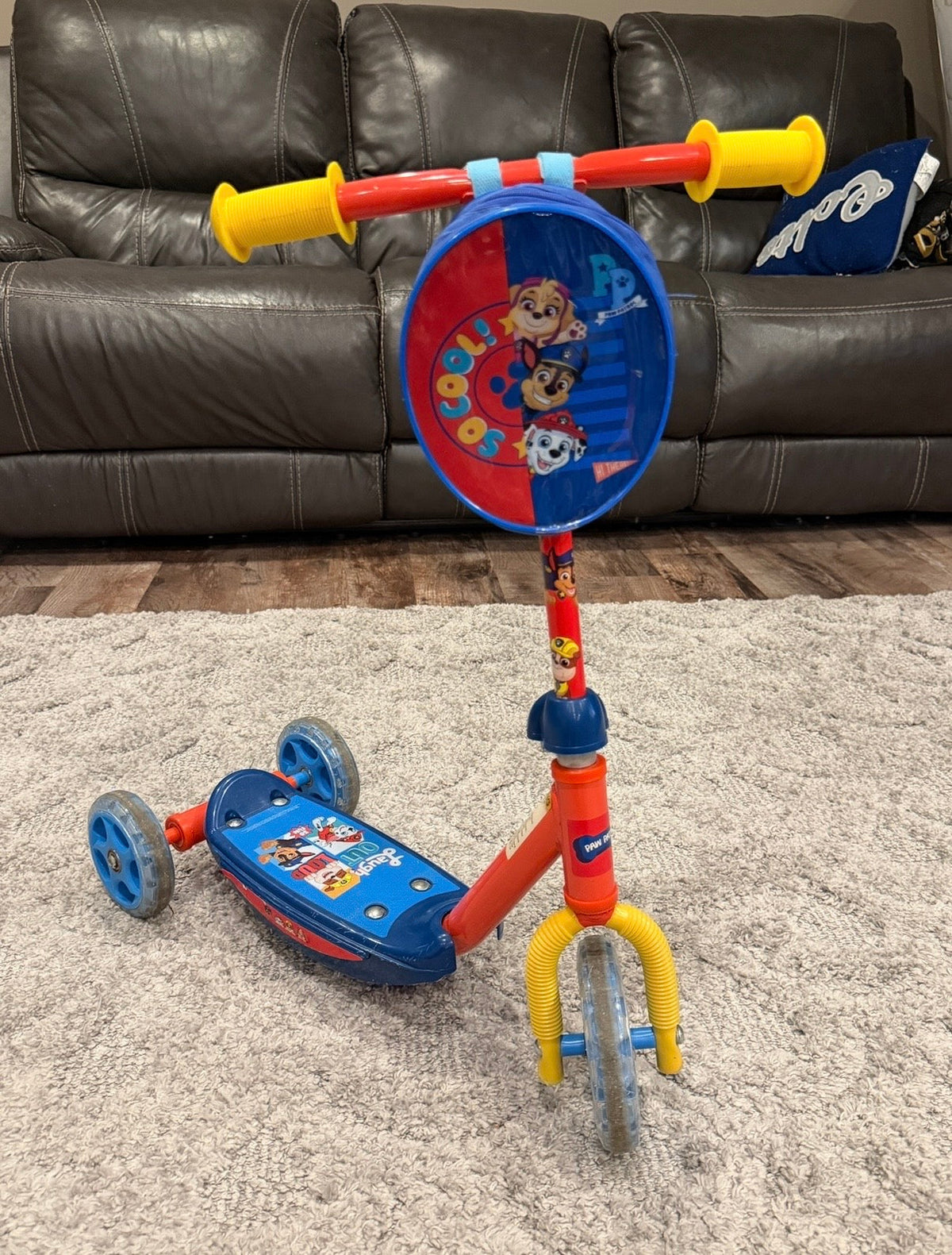 16 - Paw Patrol Scooter