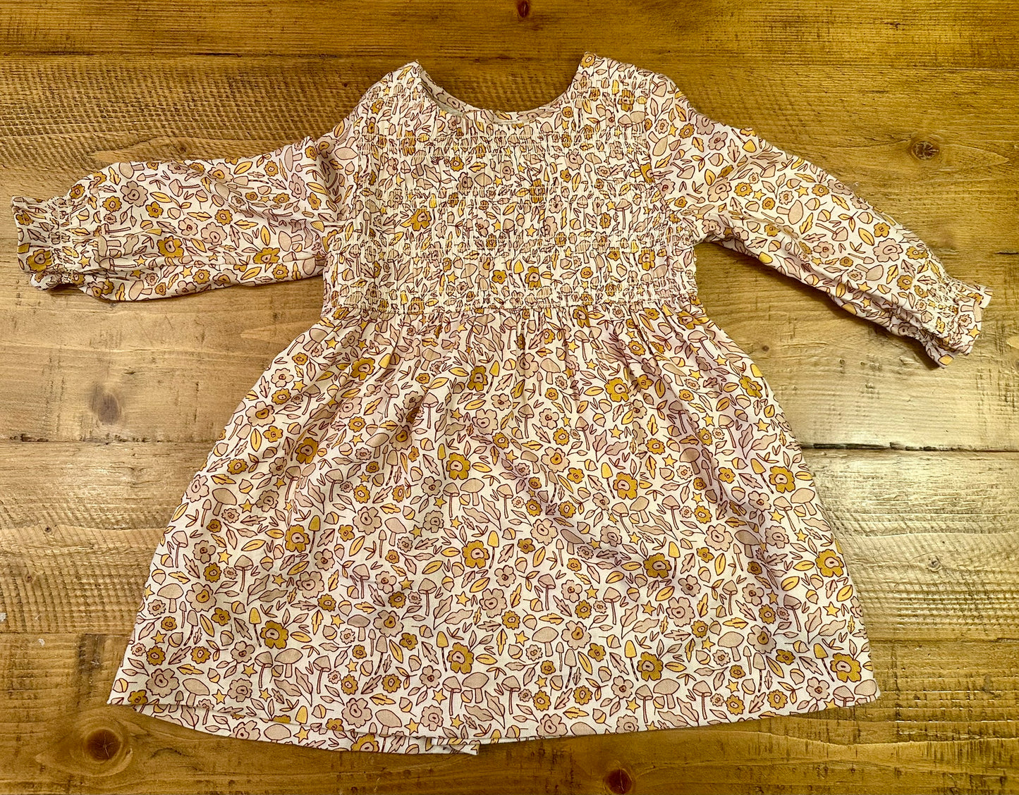 #88 3T Cat and Jack fall dress EUC