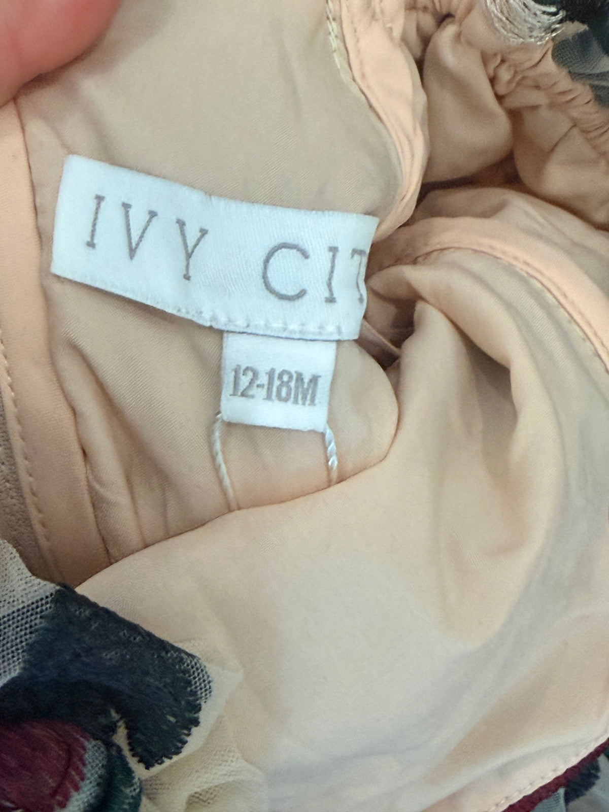 #99 Girls Ivy City tulle rose dress size 12-18 months NWT