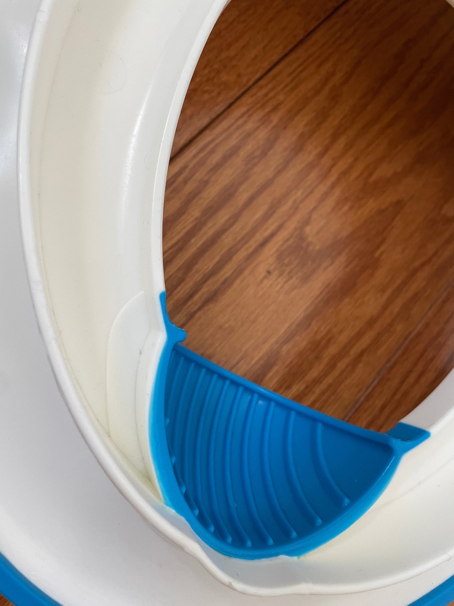 Seller #171 The Wise Women Book By Gina Sorell