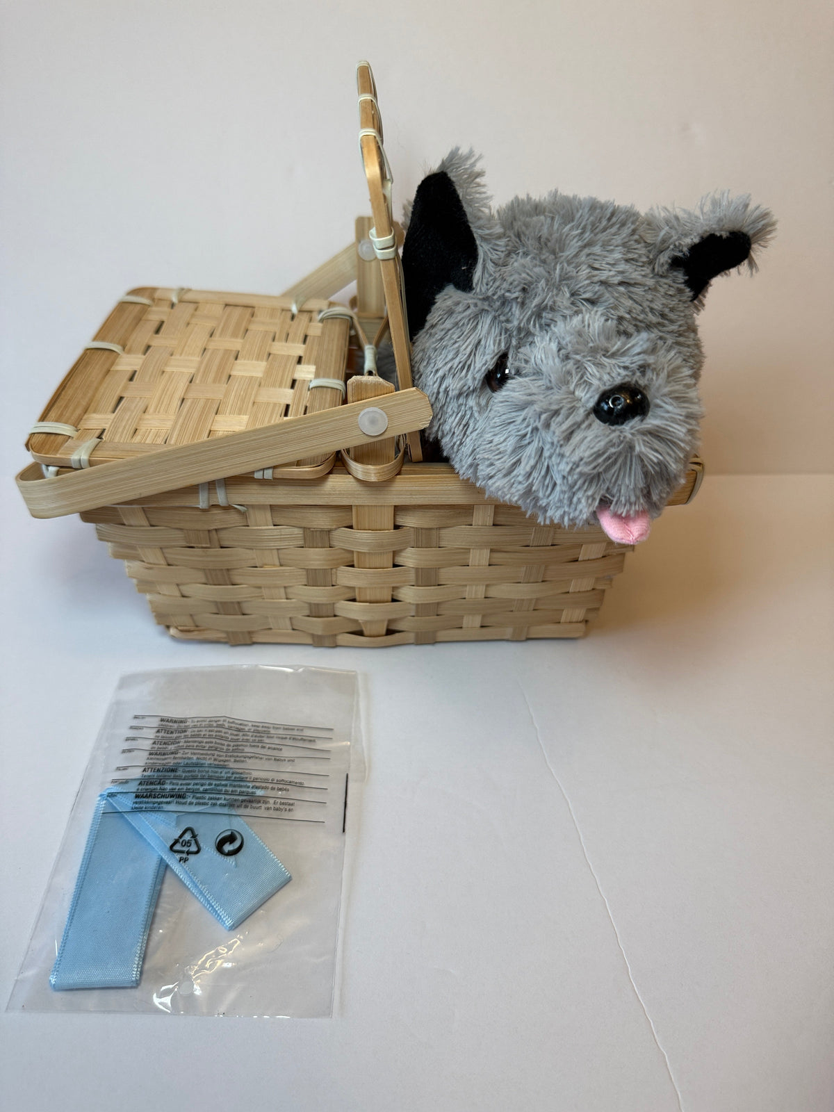 Seller 156_Rubies Dortothy Costume (NWOT) and Toto Girls M 8-10