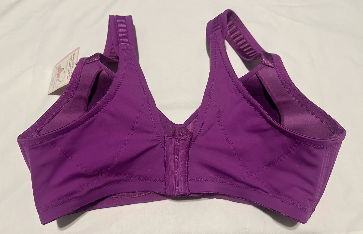 #77 NWT Fuschia Bra, 36D