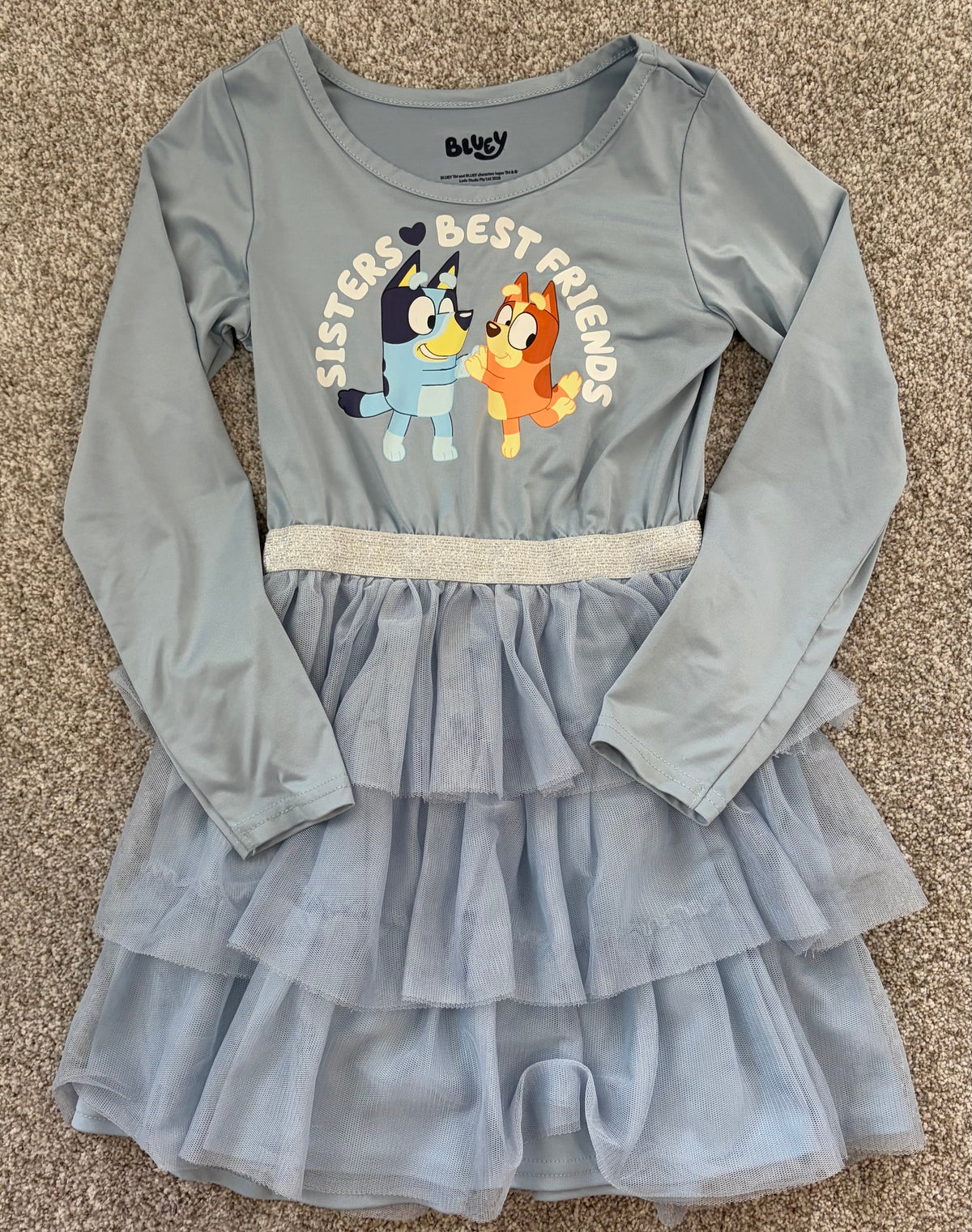 Seller #178 Size 5 Long Sleeve Bluey Dress