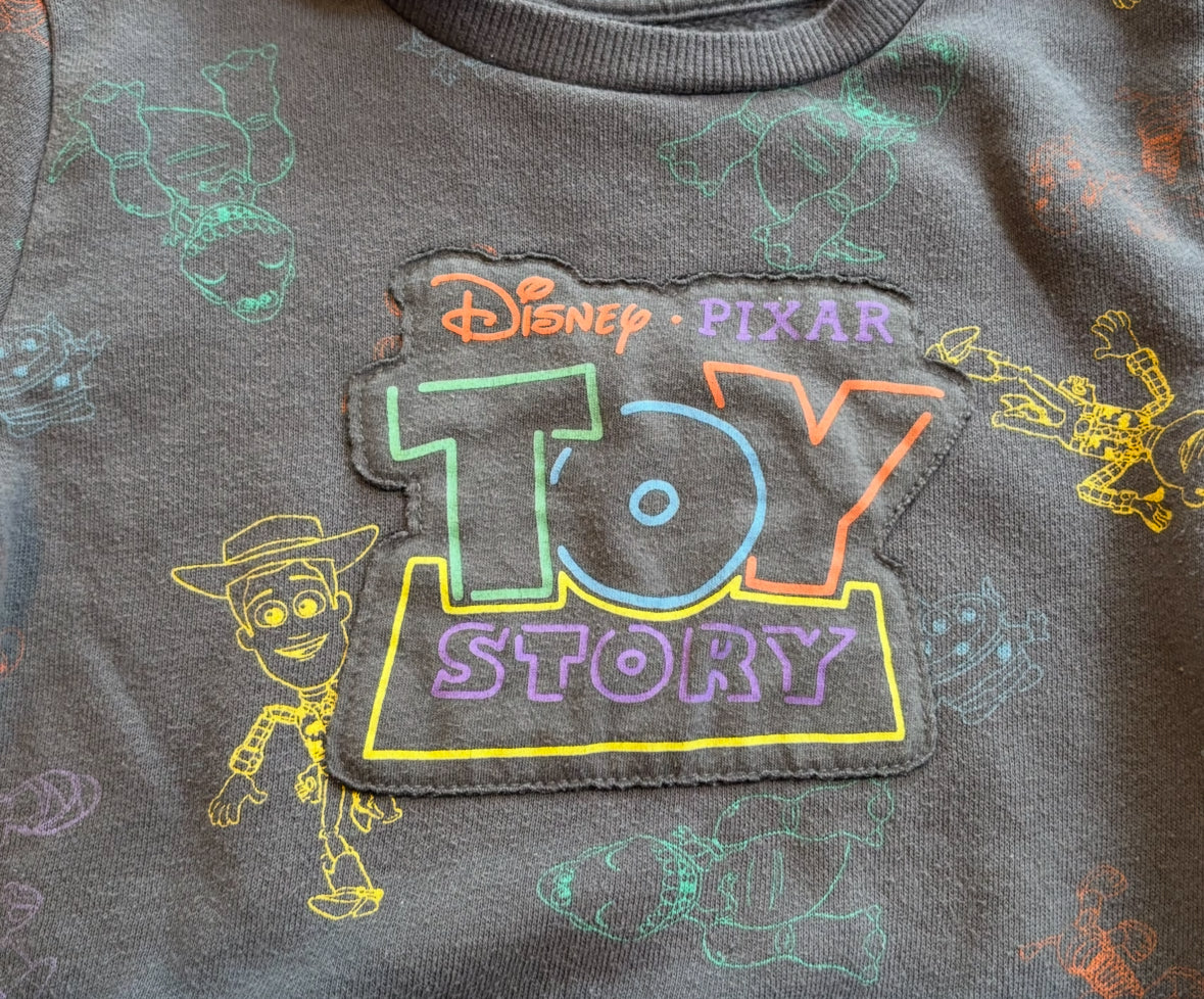 Seller #18 Disney Toy Story Sweatshirt 18M