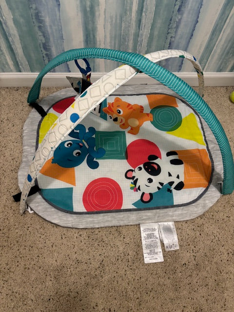 #210 Baby Einstein Play Mat