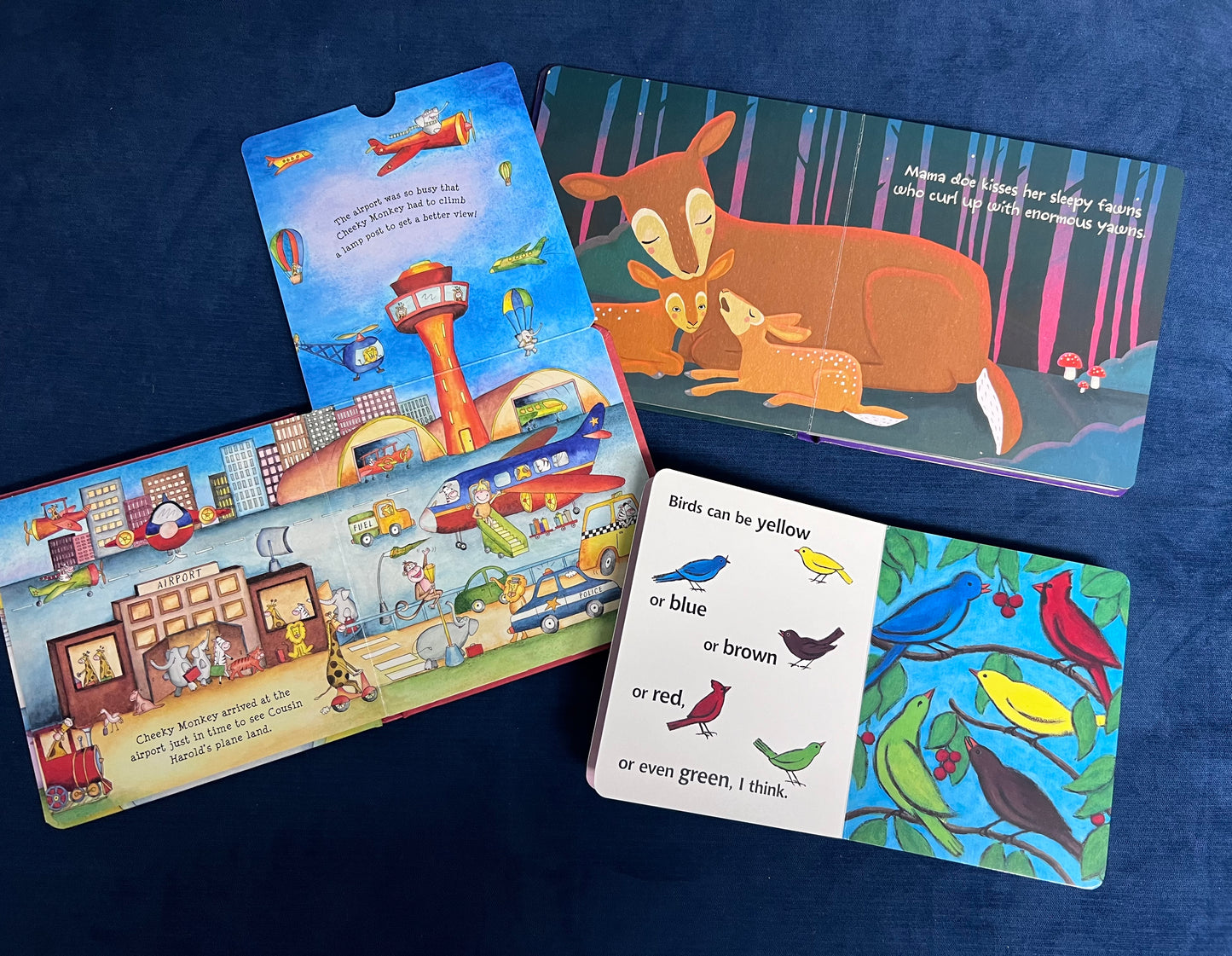 #66 Animal-themed board books for baby/toddlers: Birds, Cheeky Monkey on the Go, and Night-Night Forrest Friends