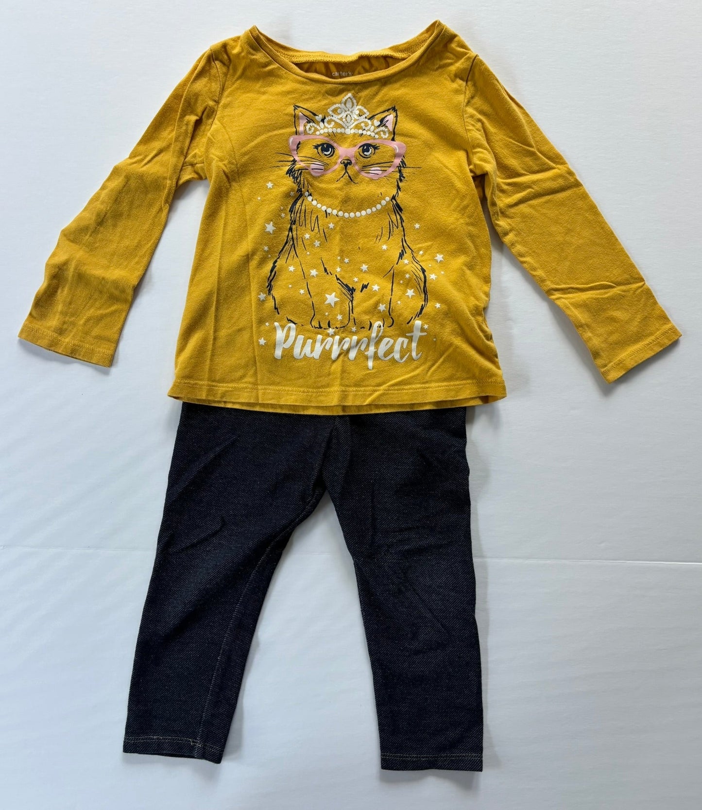 #101 *REDUCED*Carter's Cat Princess Long Sleeve Shirt Jean Legging Set Girls Size 2T
