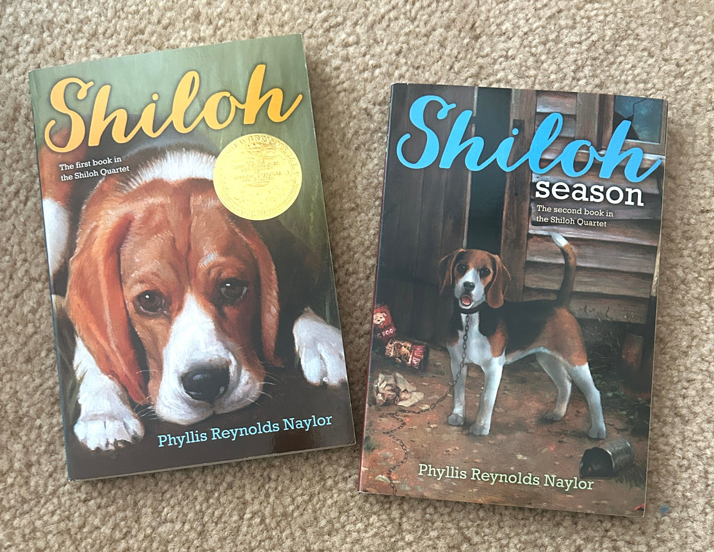 #15 Shiloh Book Bundle