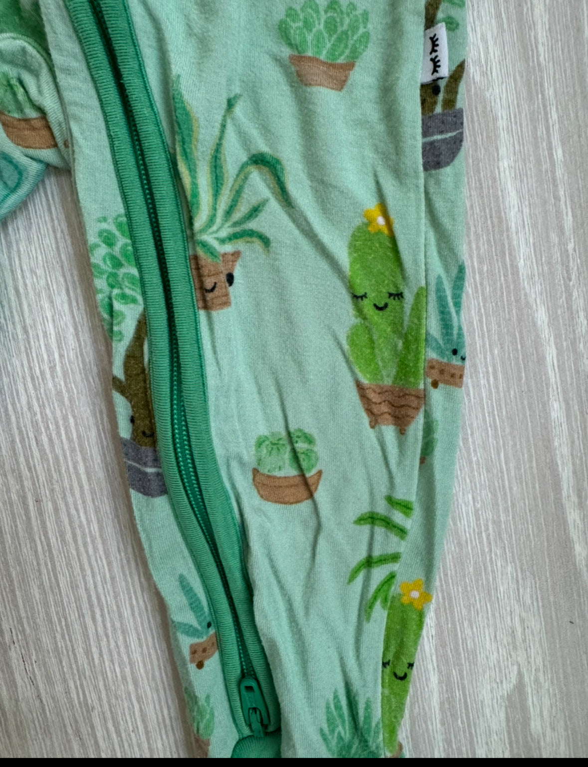 #207 Little Sleepies succulent zippy size 6-12 Months - guc