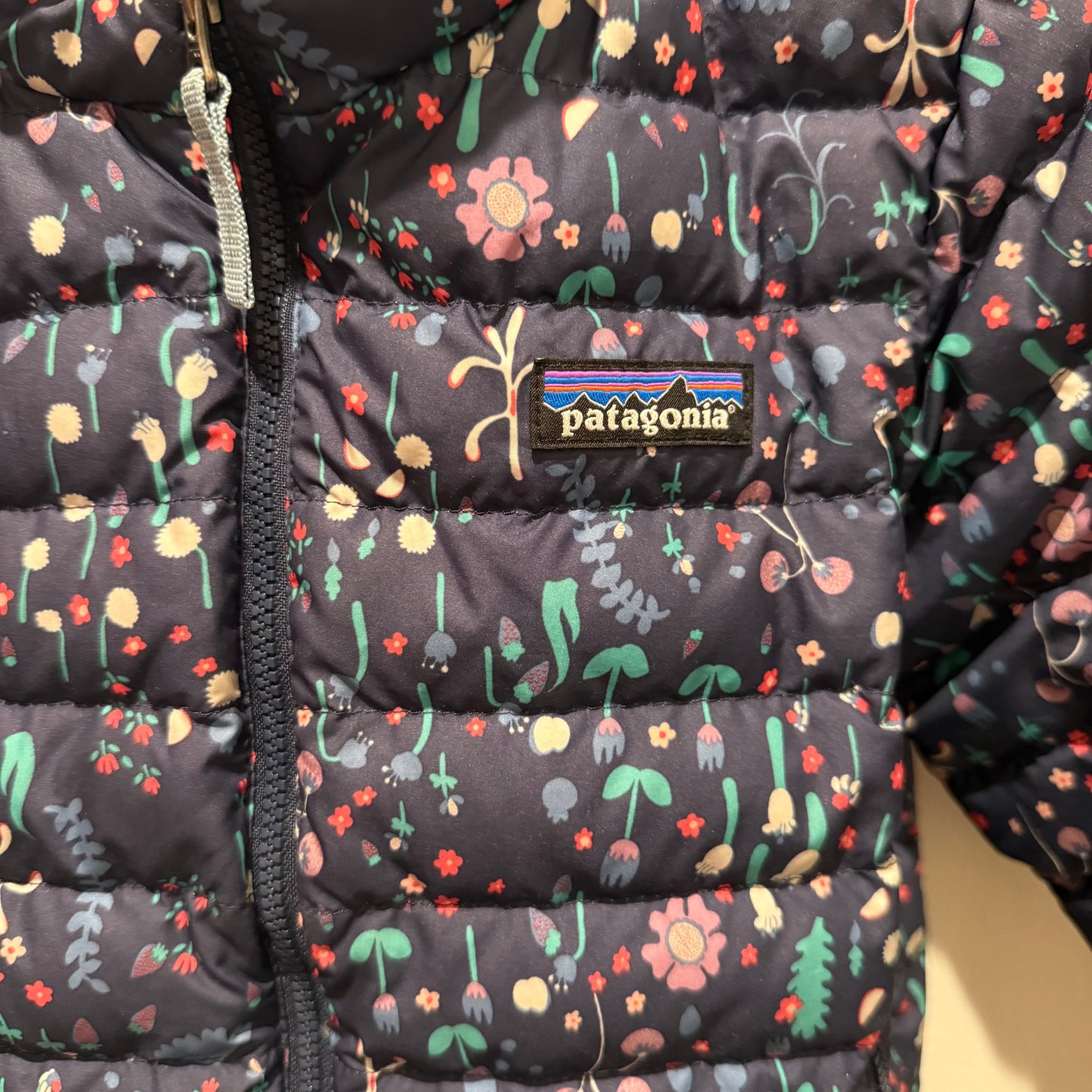 #139 Size 3T Patagonia Girls Coat