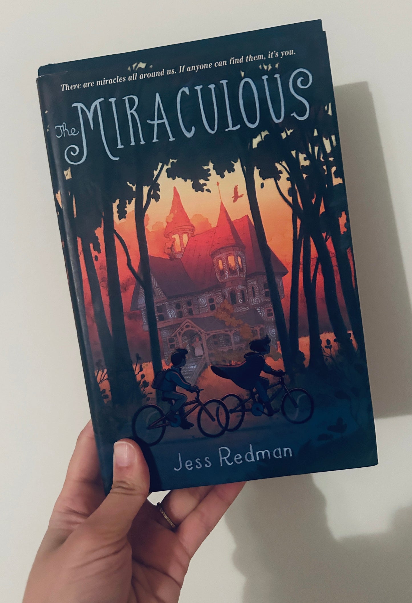 #15 The Miraculous Hardcover (ages 9+)