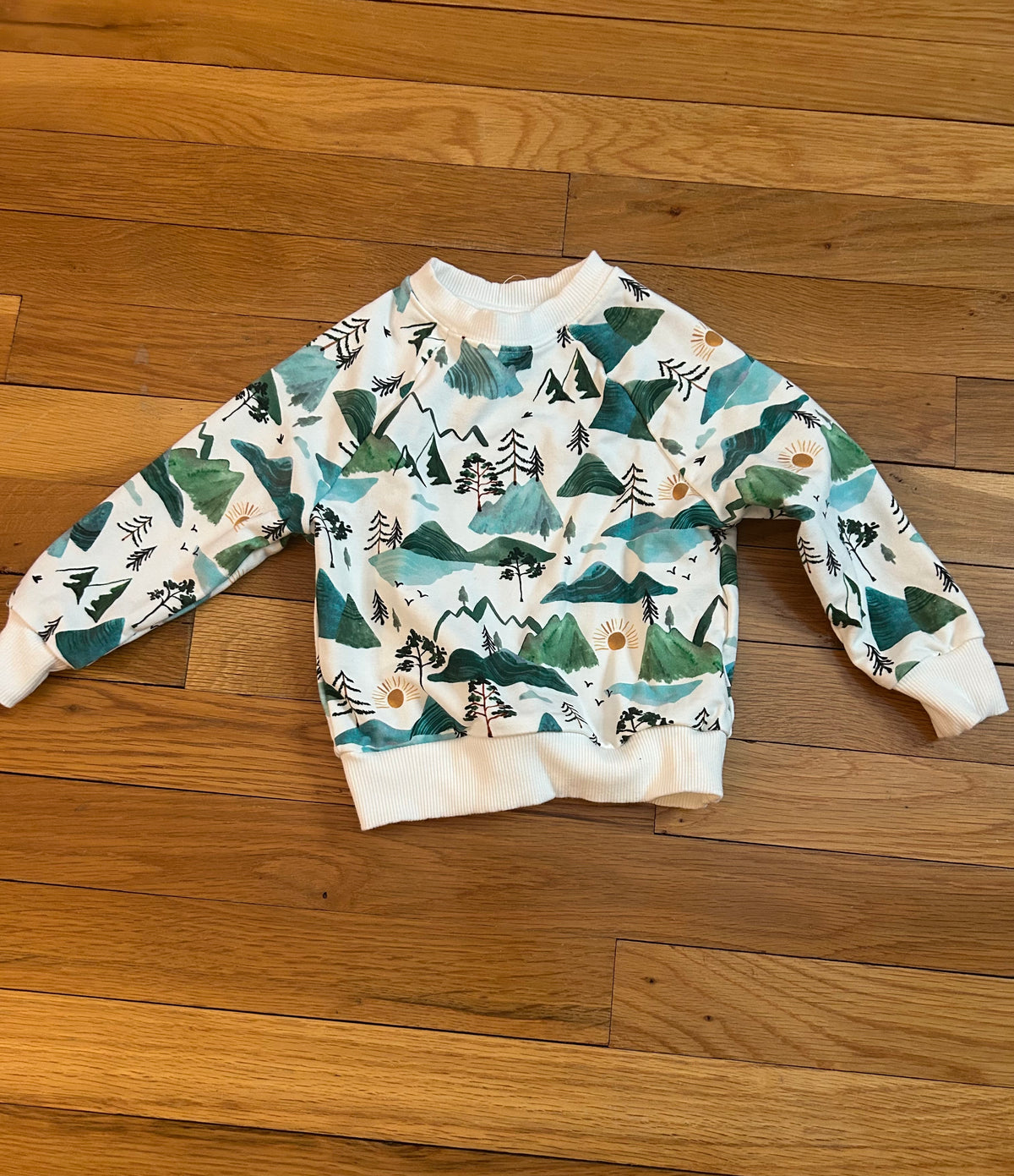 Seller 128 - Little Sleepies Boys Mountains Sweatshirt 18M