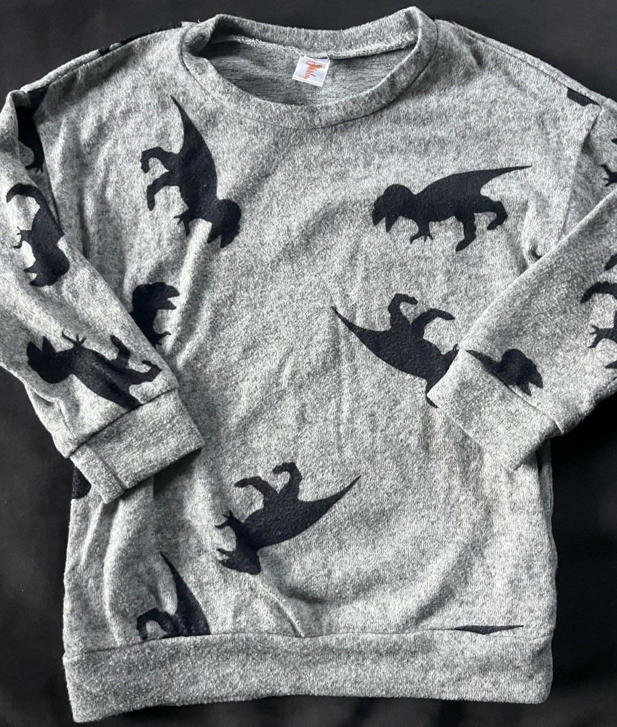 Seller #13 Shirley & Stone boys L (fits like 4/5) dinosaur sweater - NWOT