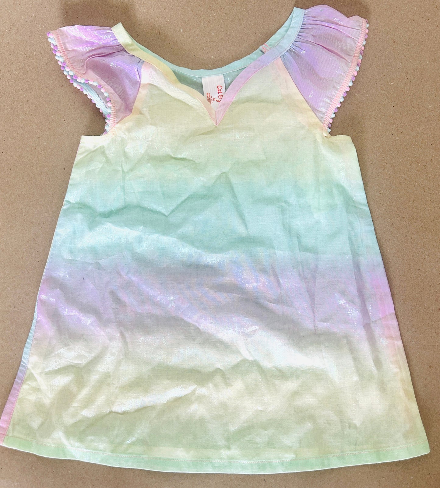 #15 REDUCED C&J 4t Pastel Rainbow Iridescent Swim Cover