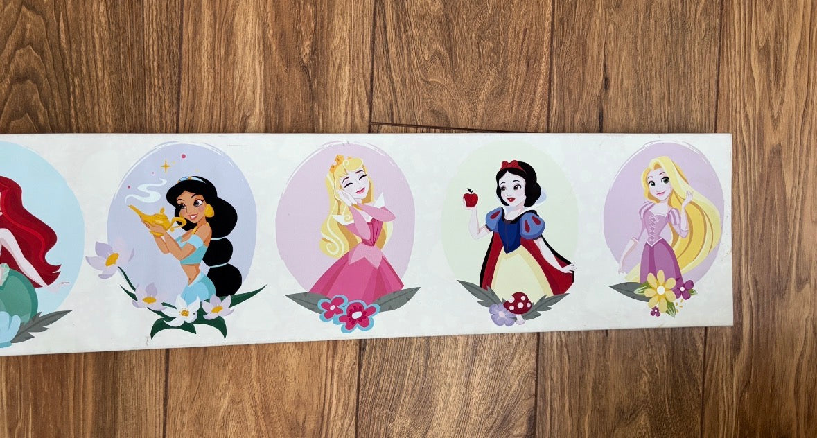#121 Disney princess painting, VGUC