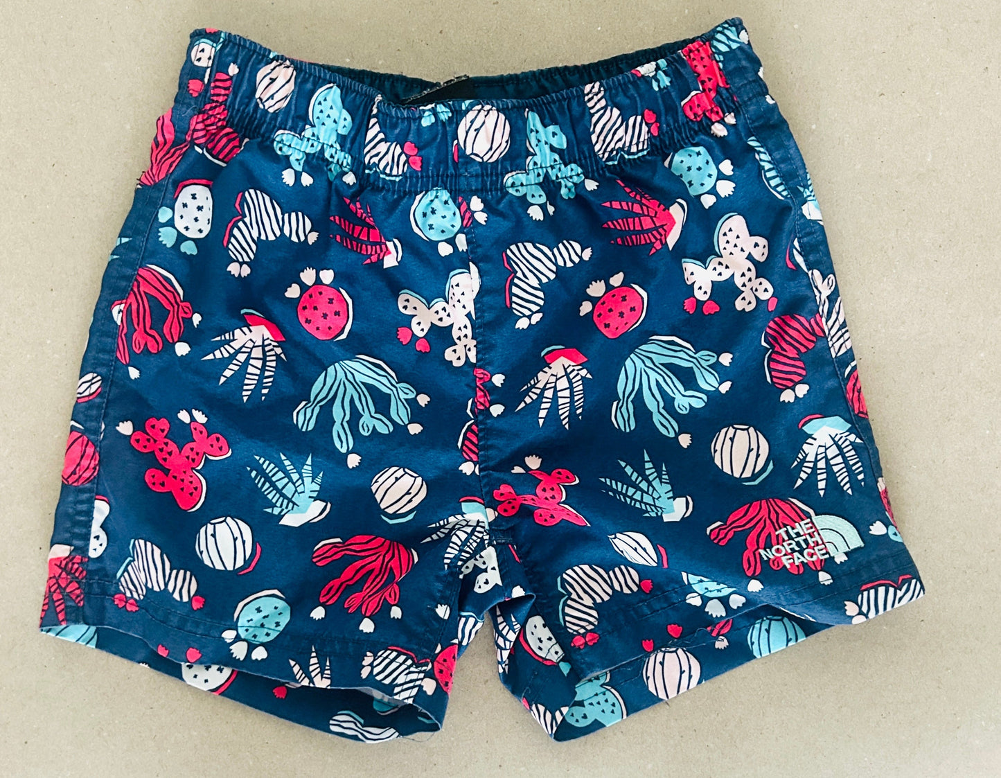 #15 Northface 4t Swim Trunks