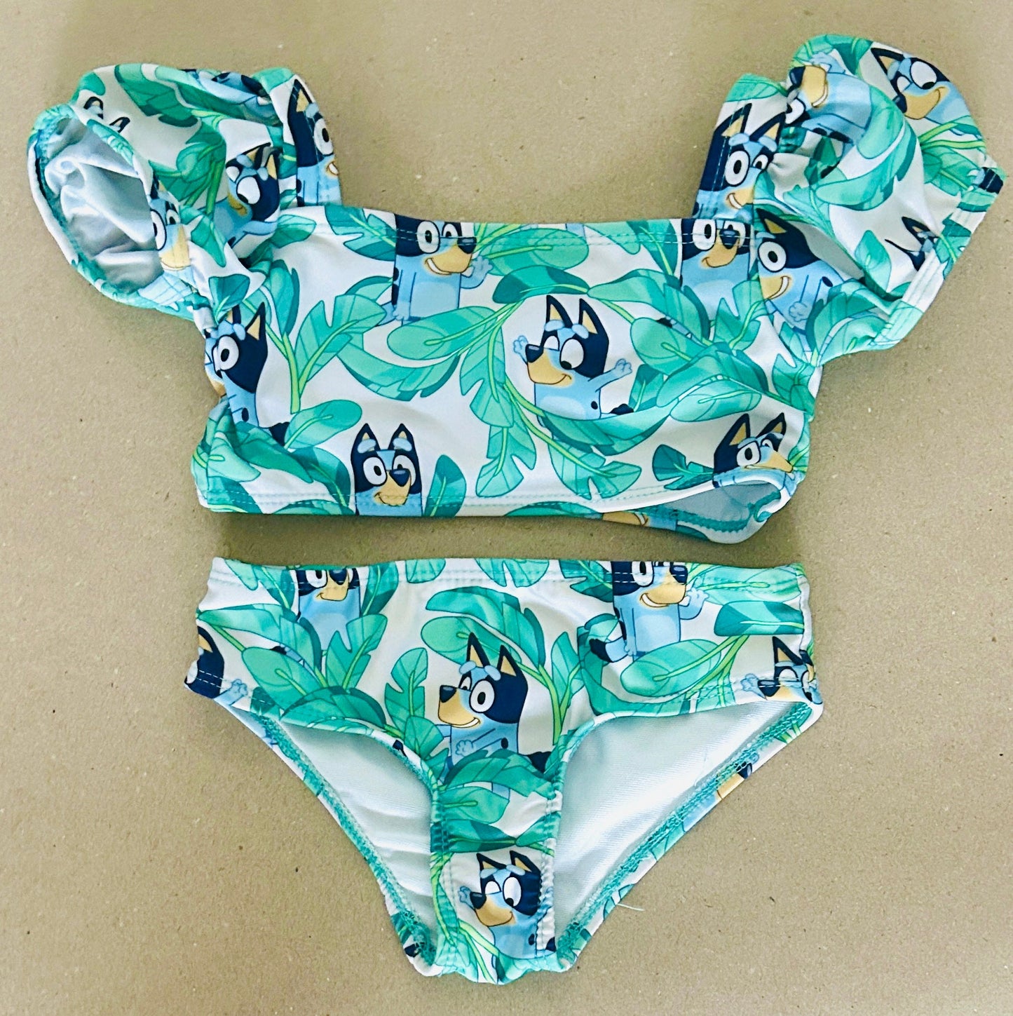 #15 Bluey 2t Swim (2 Piece)