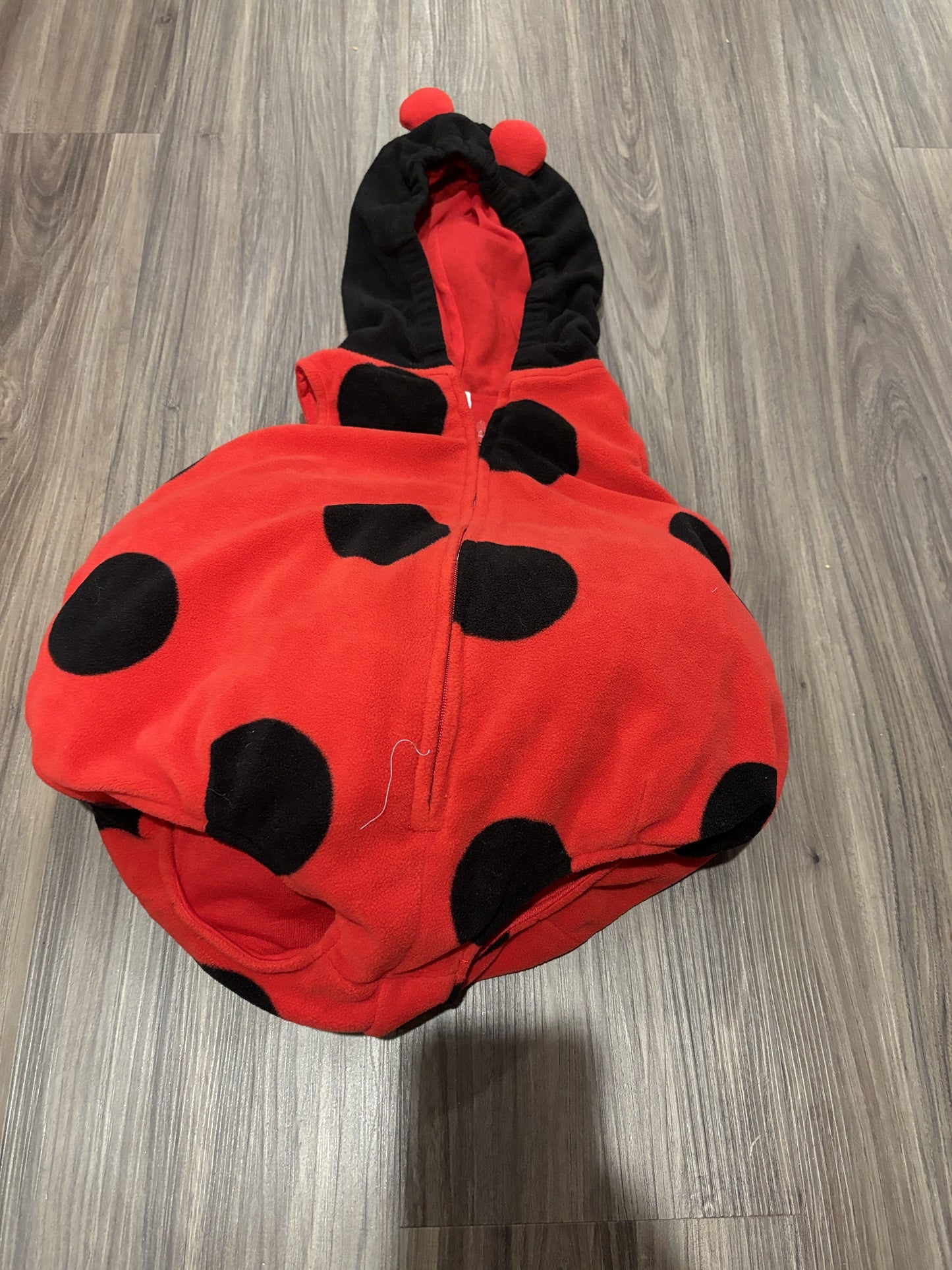 #138 - 6-9 Mo - VGUC Ladybug Halloween Costume - PU 45236