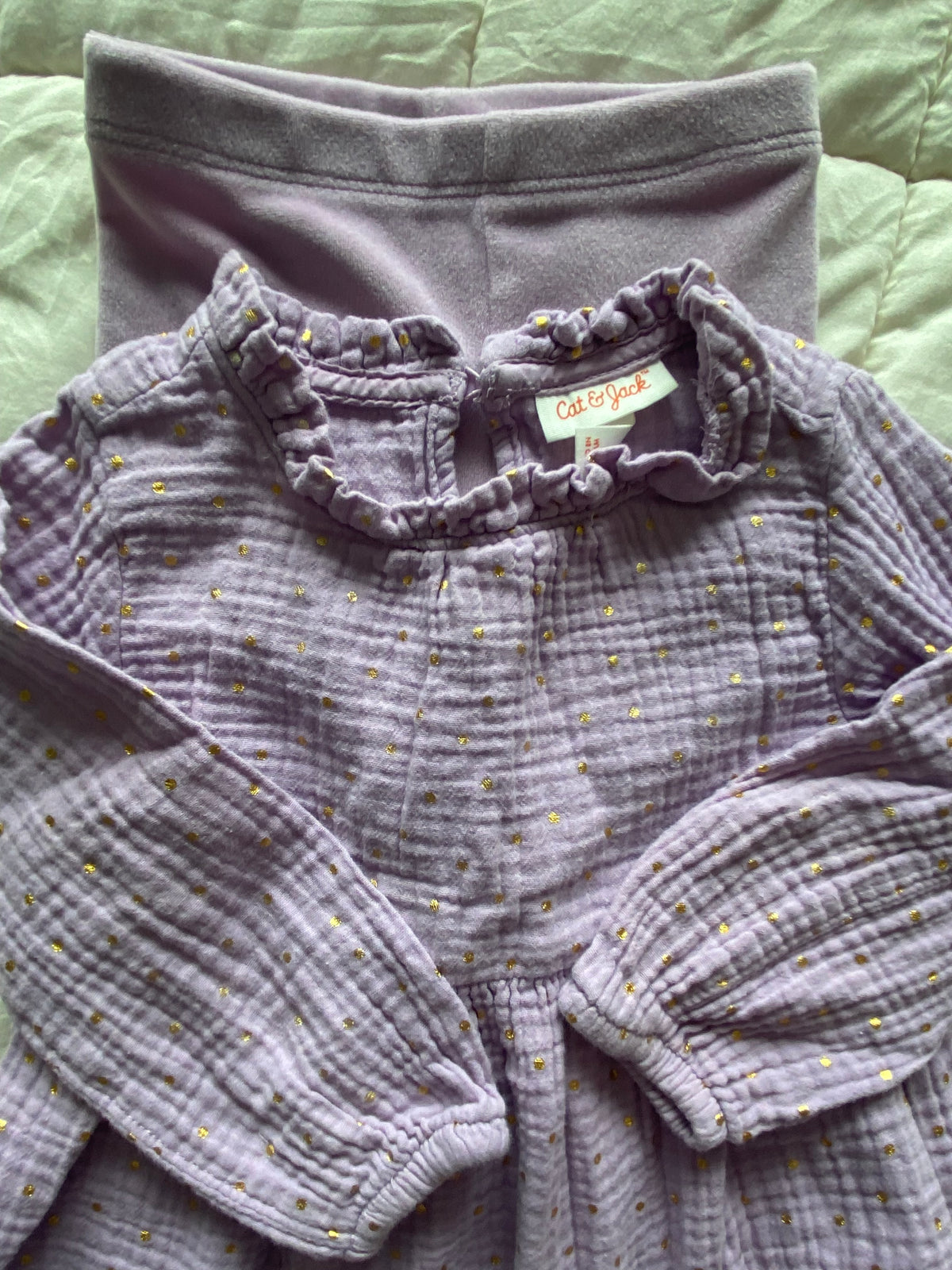 Seller 59 girls Cat and Jack 2T purple outfit