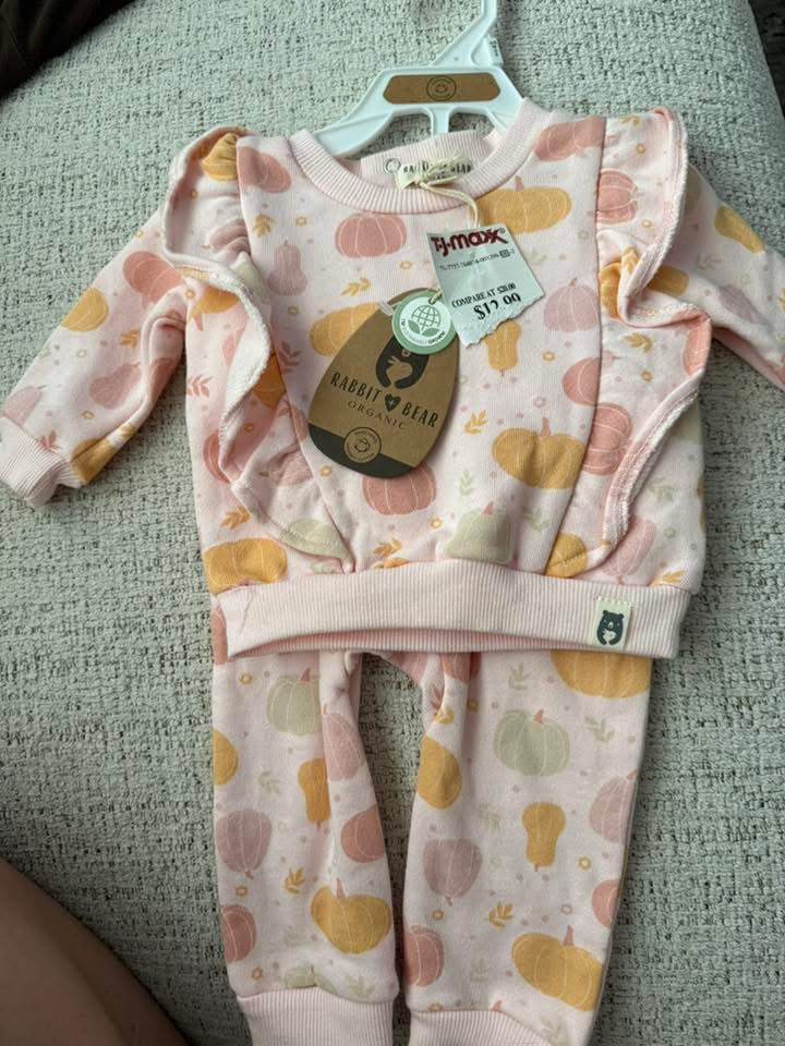 Seller #30 "Rabbit Bear" Two Piece Pink Baby Girl Set Size 3-6M NWOT