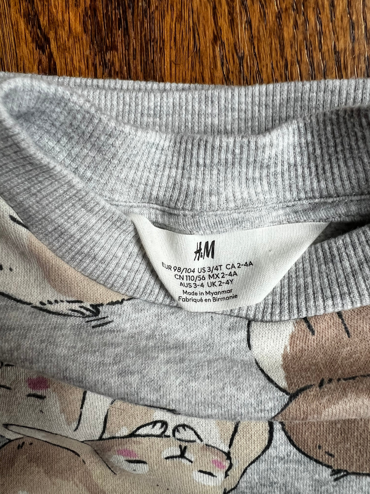 Seller #115 - H&M Girls 3-4T Bunny Sweatshirt with Disney 4T Gray Leggings, VGUC/GUC