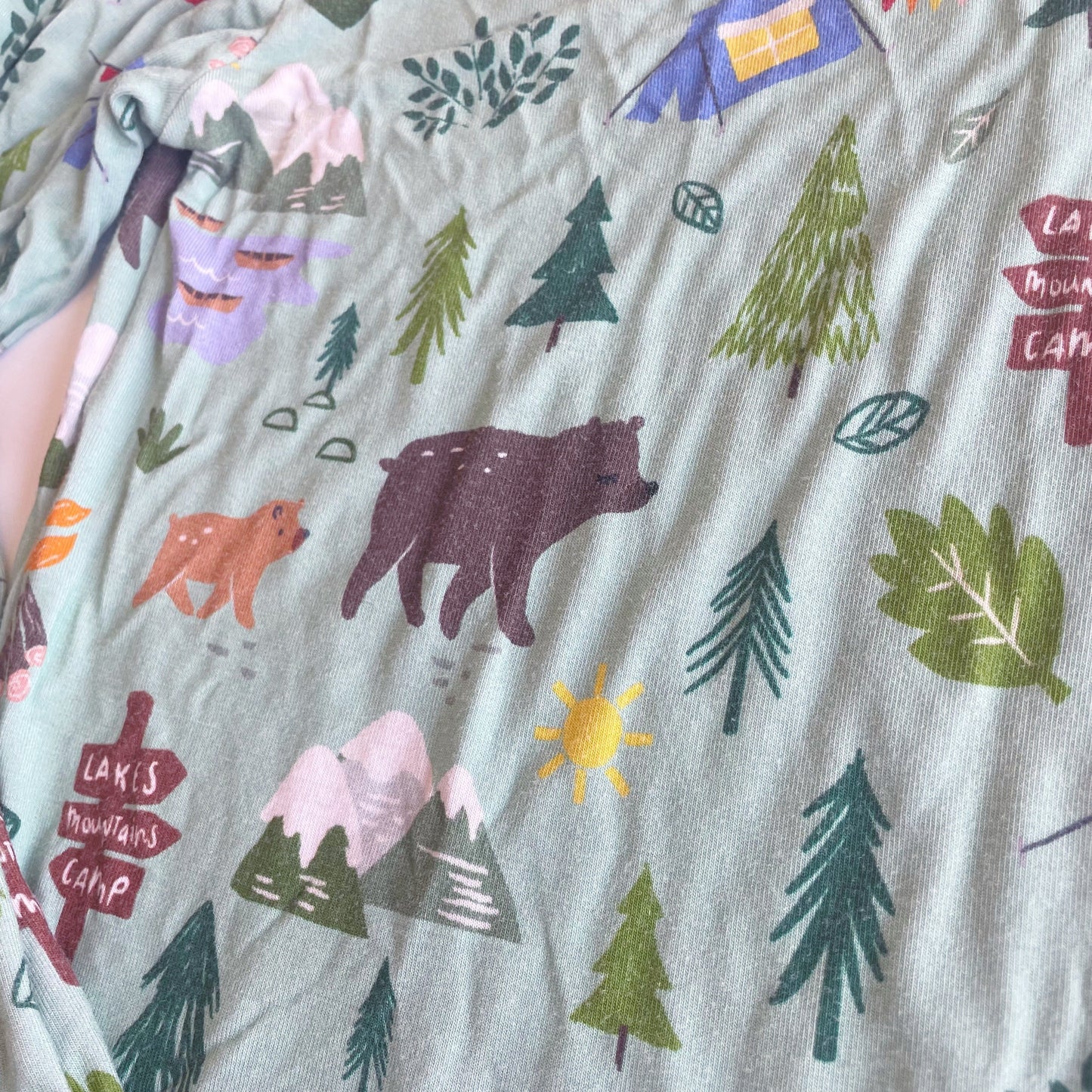 #118 | Size 9/10 | Little Sleepies Boys Camping Pajamas