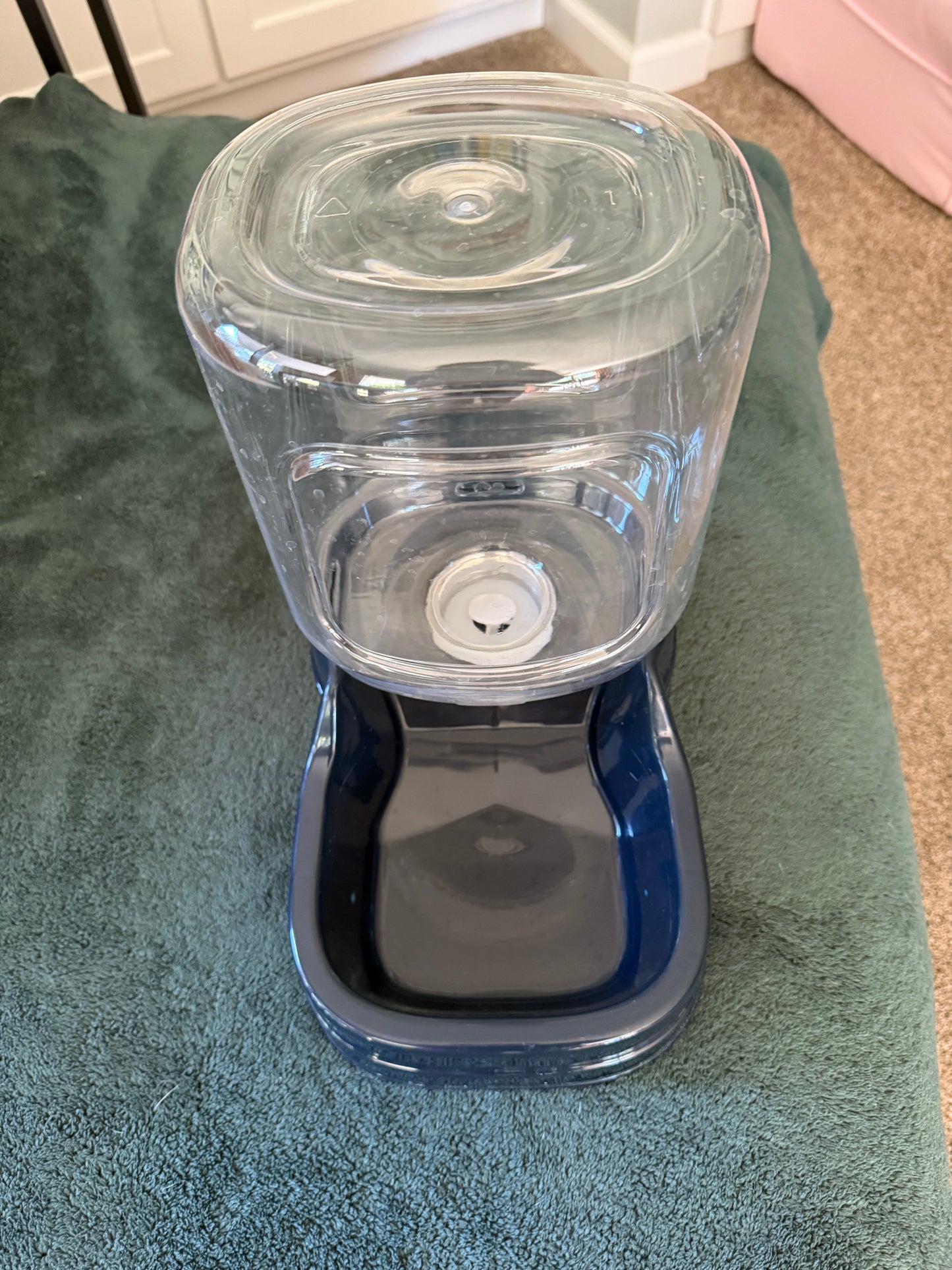 Seller #6 Dog Water Bowl