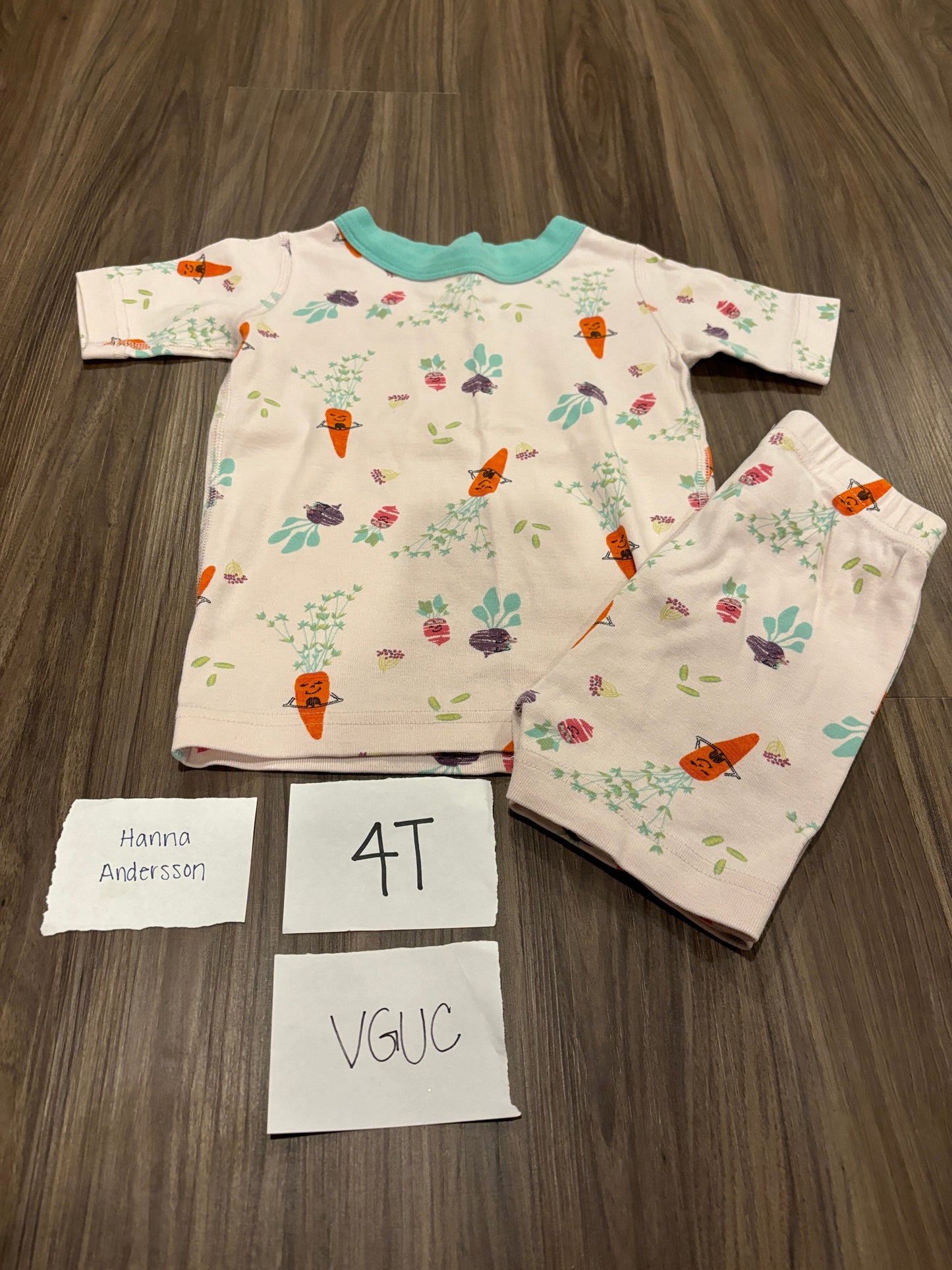 #77 - 4T - VGUC Hanna Andersson - Veggie Short Sleeve and Shorts PJs