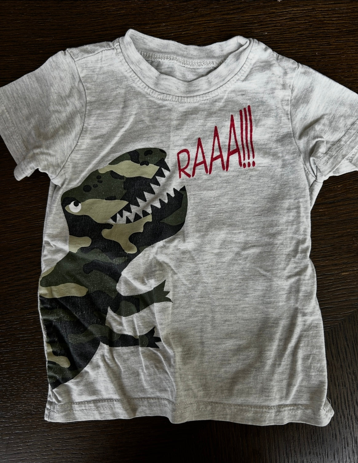 #25 3t Camo dinosaur graphic t-shirt