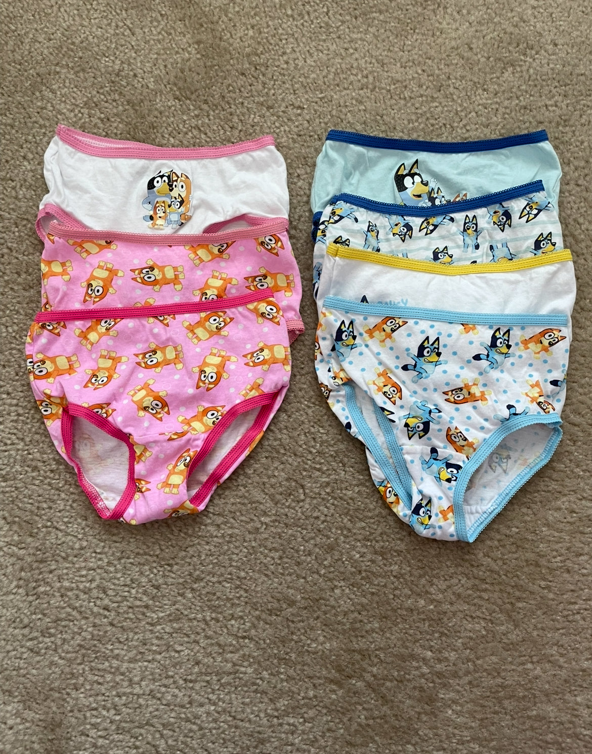 Seller 10- girls4T Bluey underwear