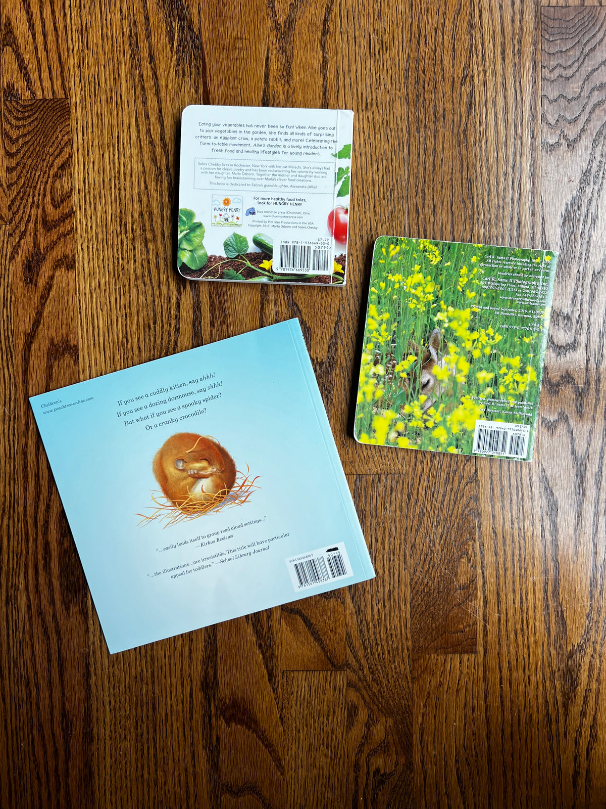 Seller #115 - Animals & Garden Baby/Toddler Book Bundle (Set of 3), VGUC/GUC