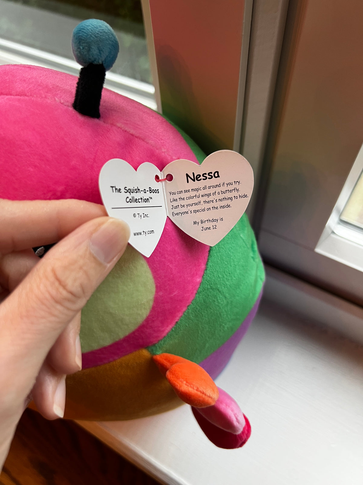 Seller #115 - Ty Squish-a-Boo Caterpillar “Nessa” (NWT)