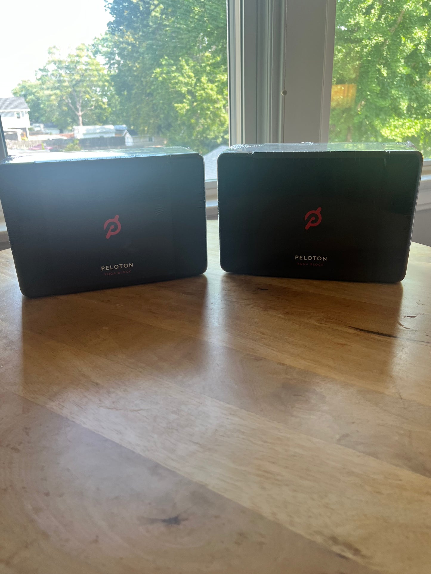 #97- NWT Peloton Yoga Blocks