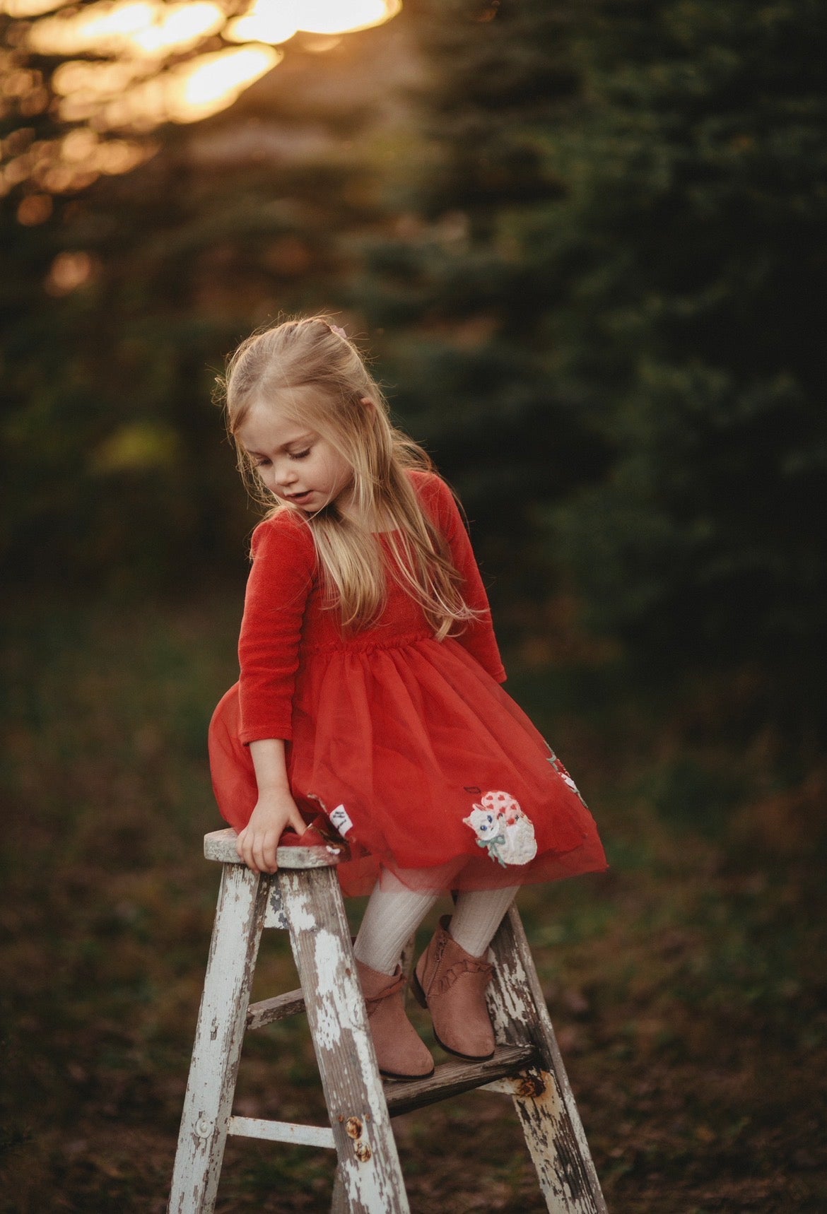 Seller #115 - Boden Girls 2-3Y Red Holiday Cats Dress with Tulle Skirt, VGUC