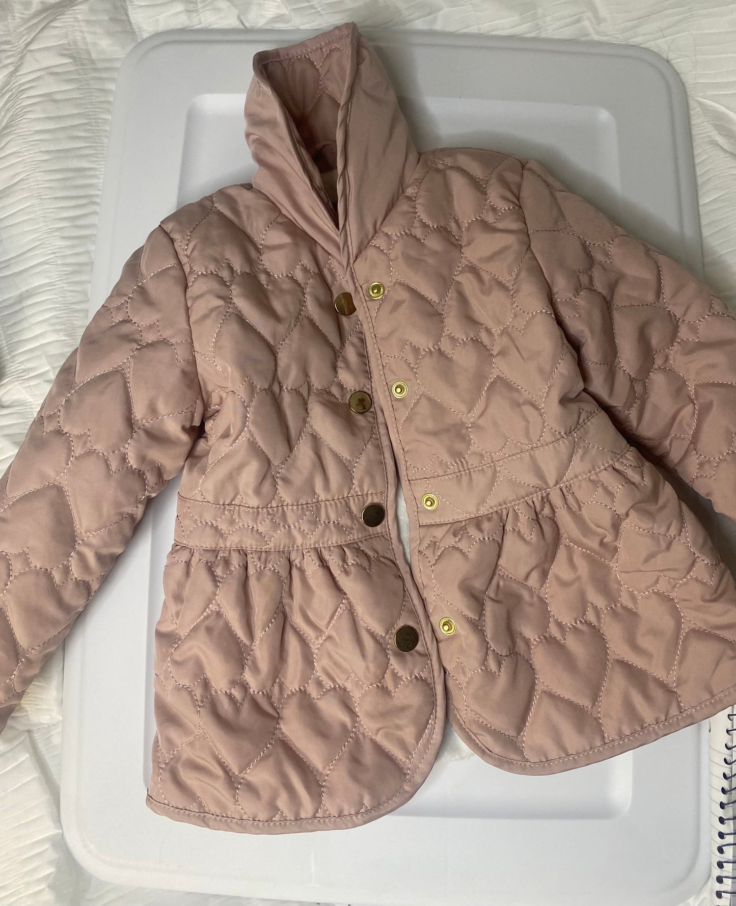 REDUCED Seller #66 Girls Pink Jacket Fleece Lined 2T