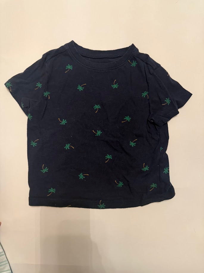 #78 REDUCED Old Navy Palm Tree Tee Boys 2T