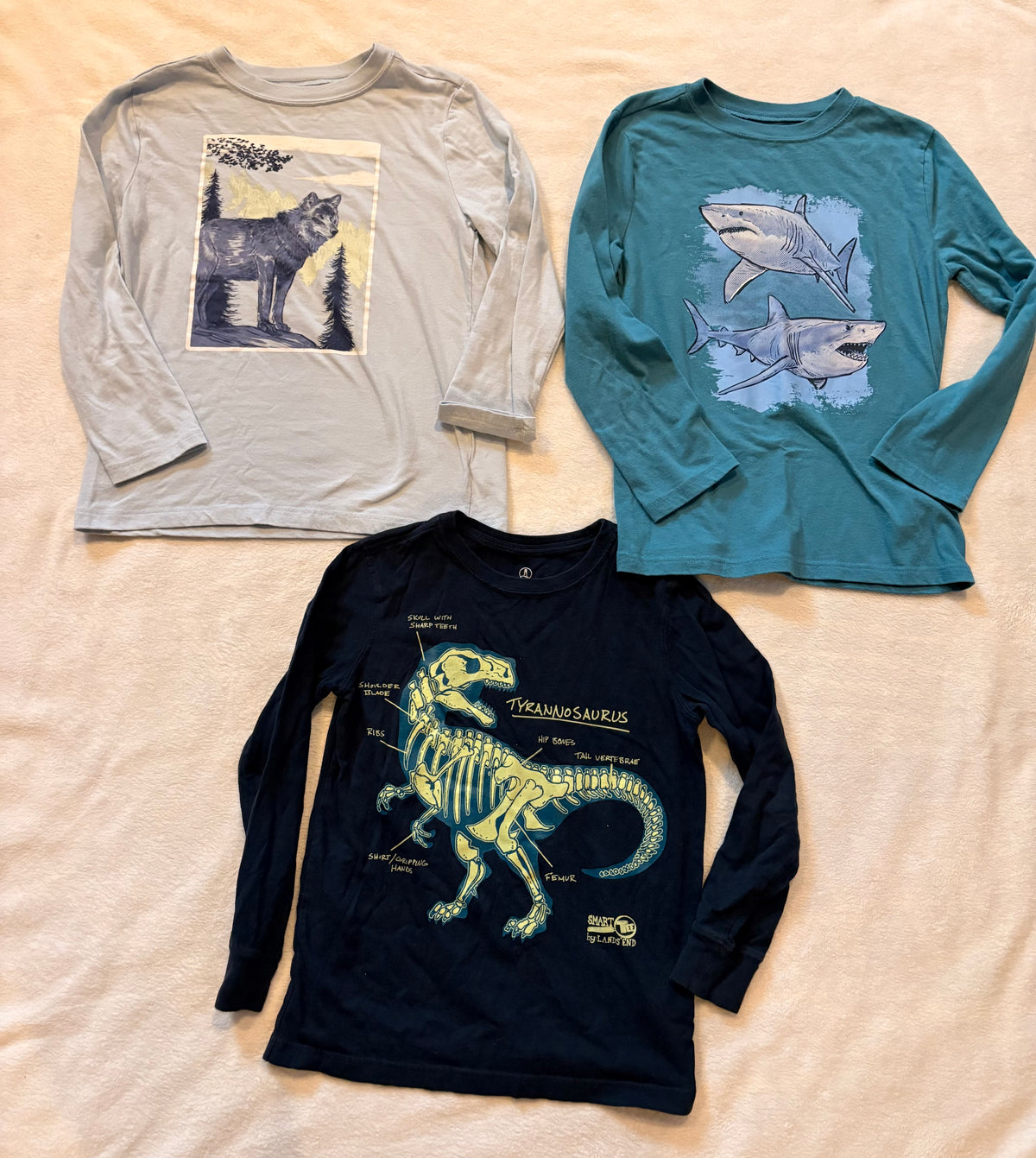 #102 - boys size 7-8 long sleeves