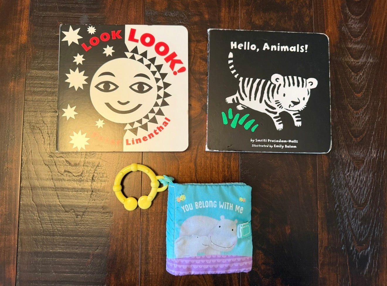#28 Baby Book Lot (2)