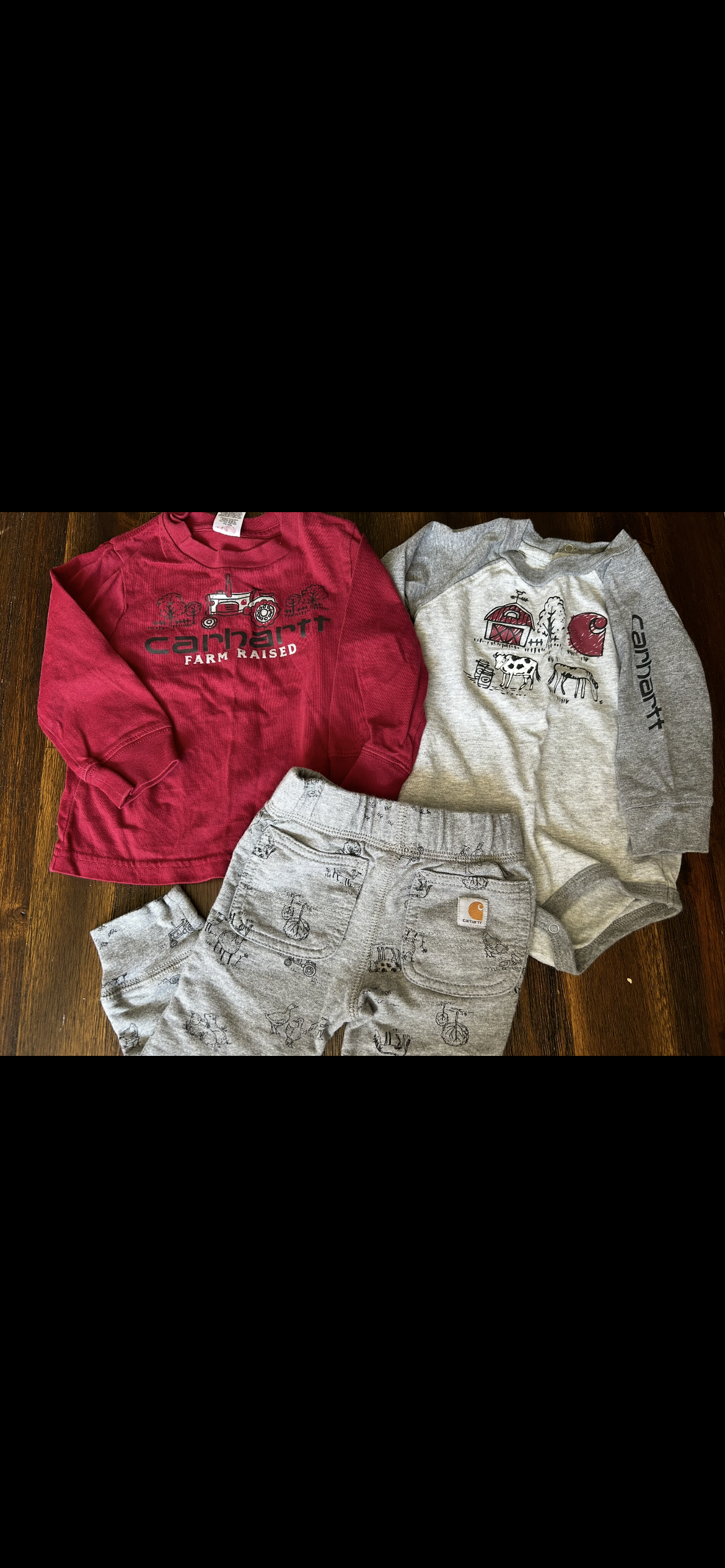 Seller #21 Baby boy Carhartt 9mo farm outfit