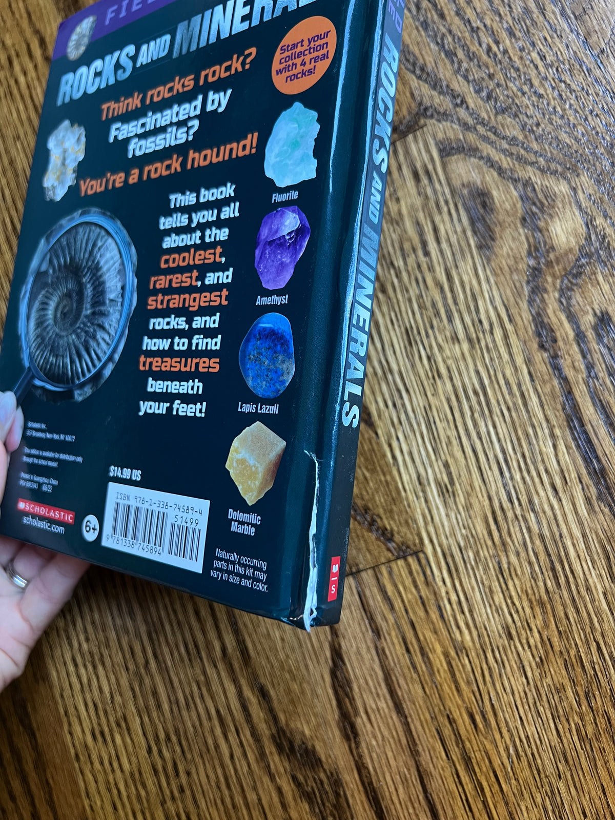 Seller #115 - Rocks & Minerals Field Guide Book, NEW (Read Description!)