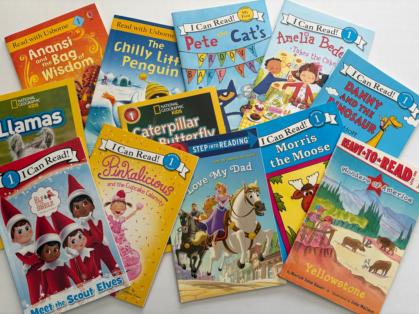 Seller #91 level one/early reader book bundle GUC