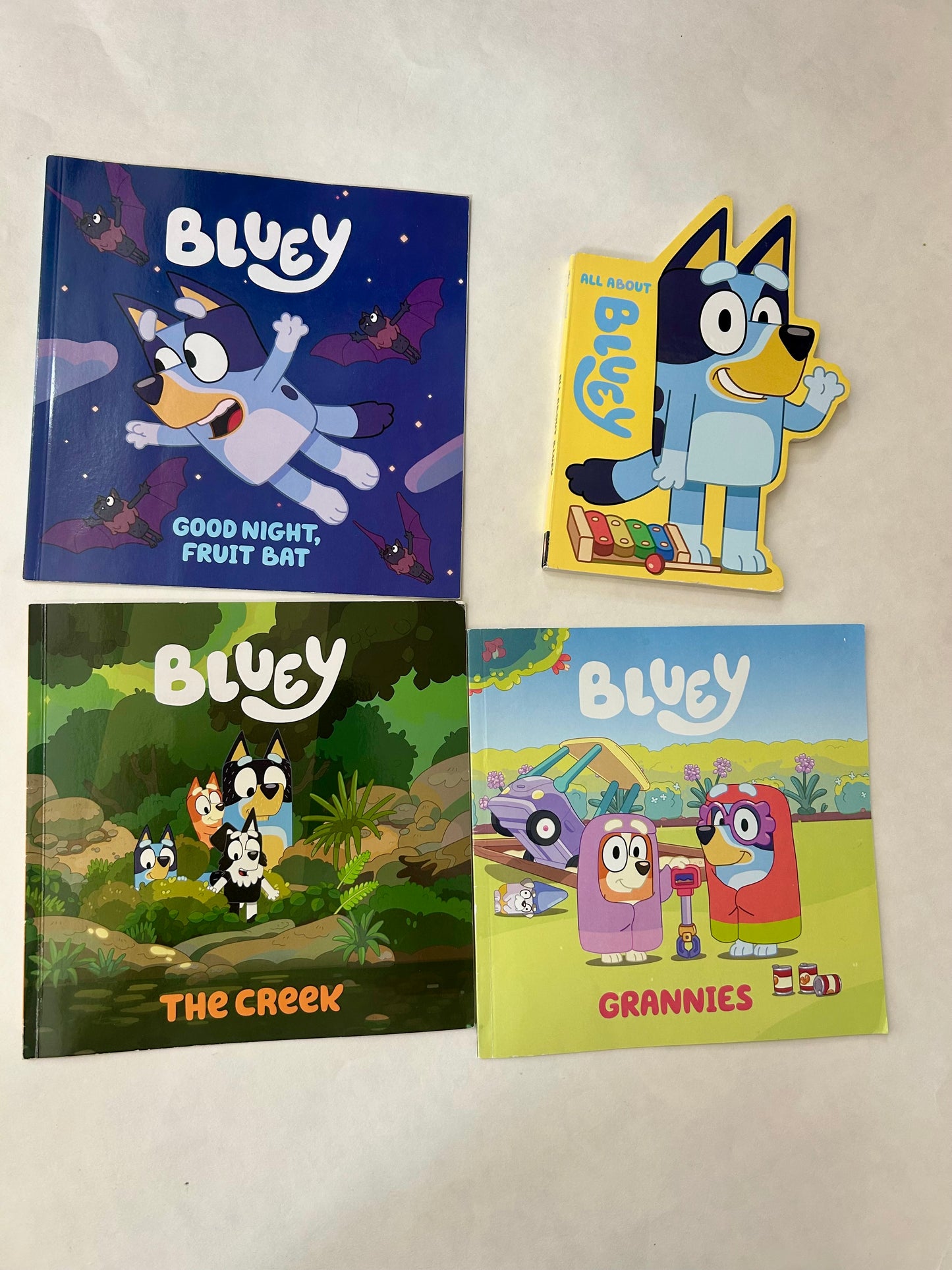 #6 Set of 4 Bluey books