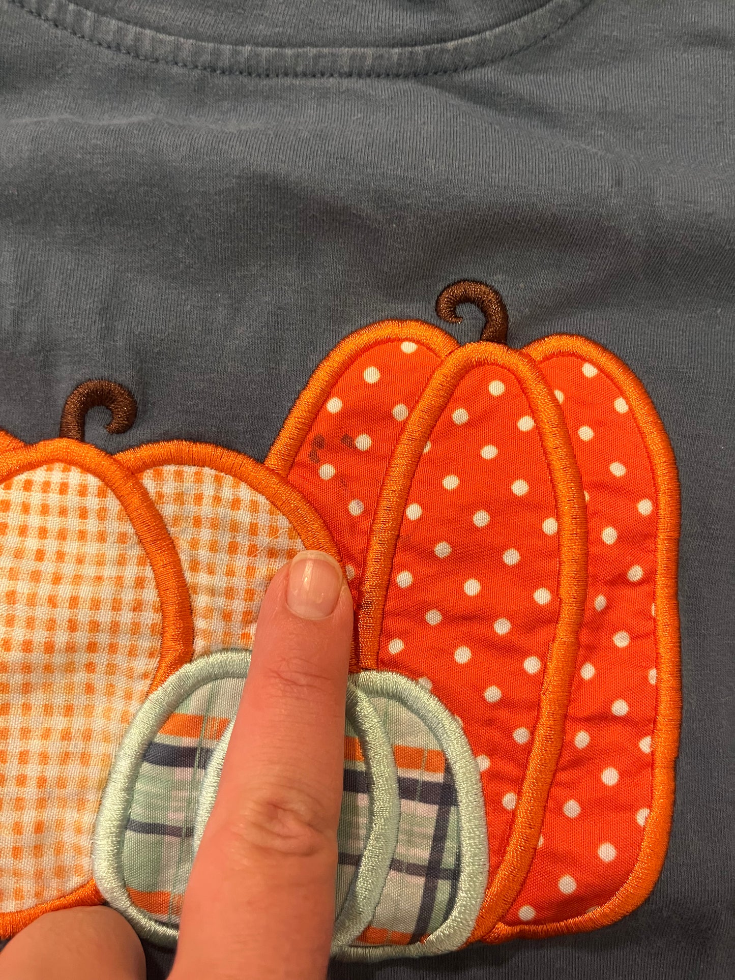 #67 Pumpkin Shirt XL fits like 5