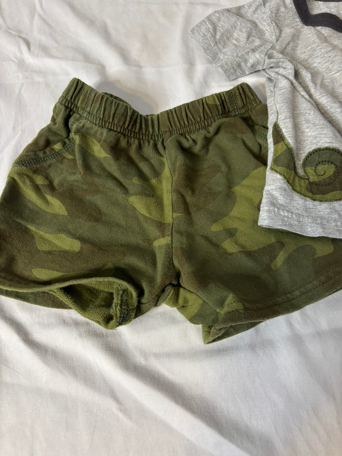 #90: Carters Baby Chameleon Outfit Set (Size 9 Months)