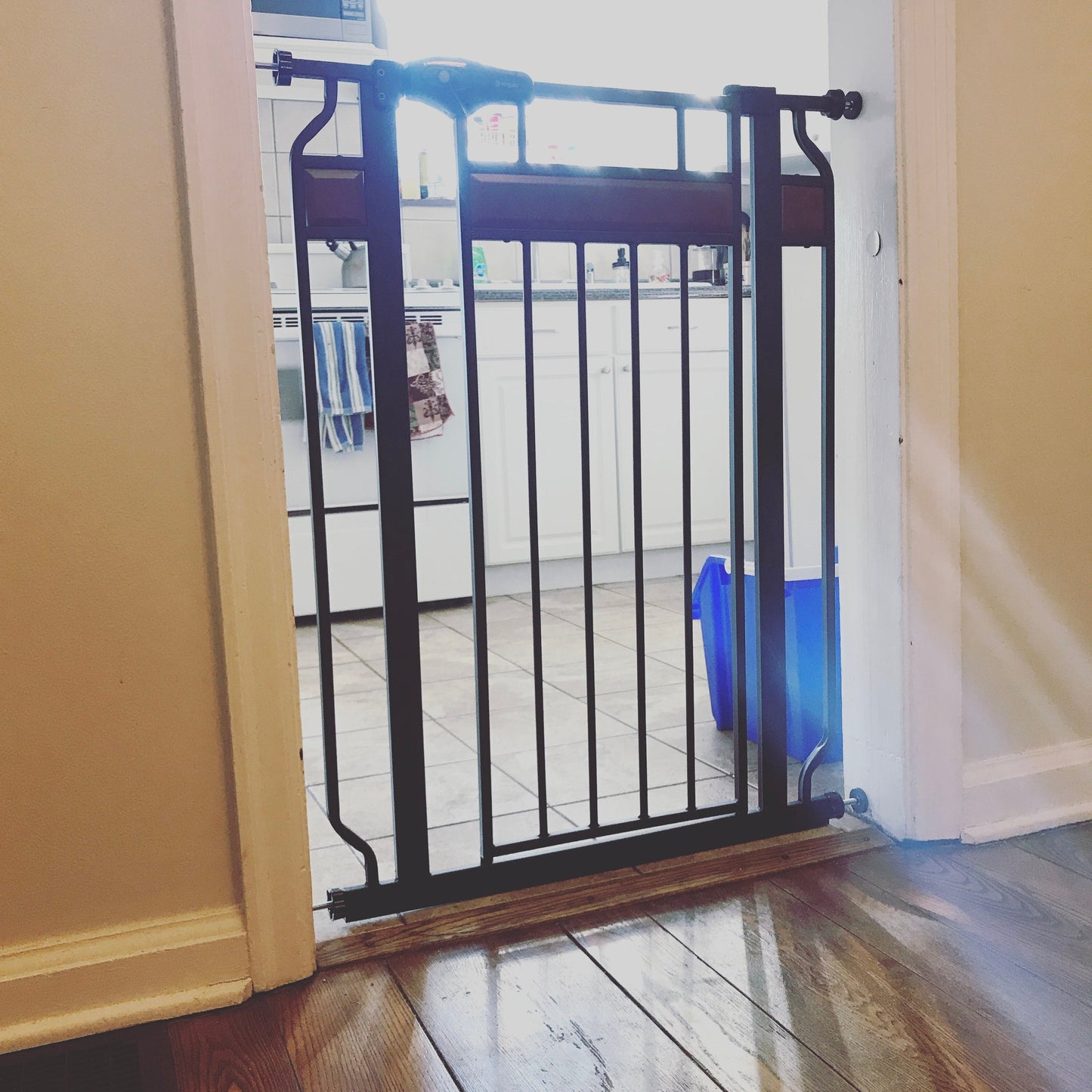 SELLER #6 GateRegalo Home Accents Extra Tall & Wide Baby/Dog Gate REDUCED PRICE