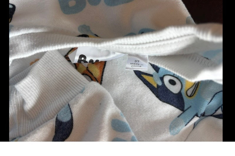 #44 Bluey Sweatshirt size 3T Gender neutral