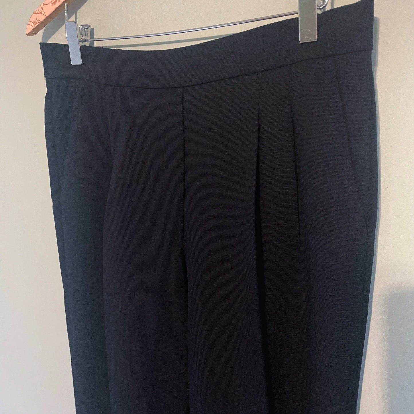 #118 | Size 8 | Aritzia Babaton Women's Black Pleated Pants