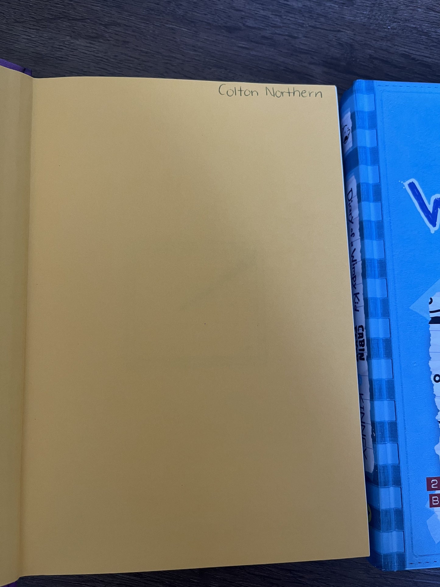 #124 Diary of a Wimpy Kid Books #4, 5 & 6