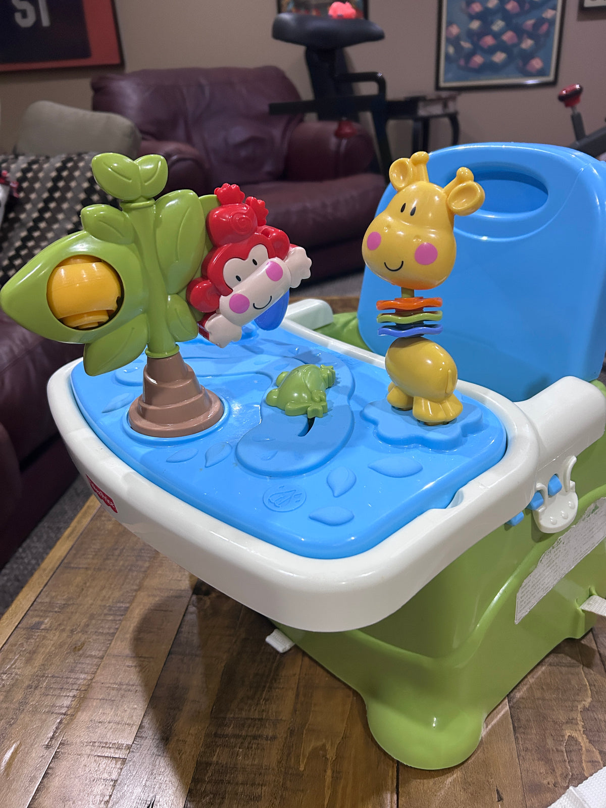 Seller #5 - Fisher Price Portable Toddler Booster Chair with removable play/toy tray